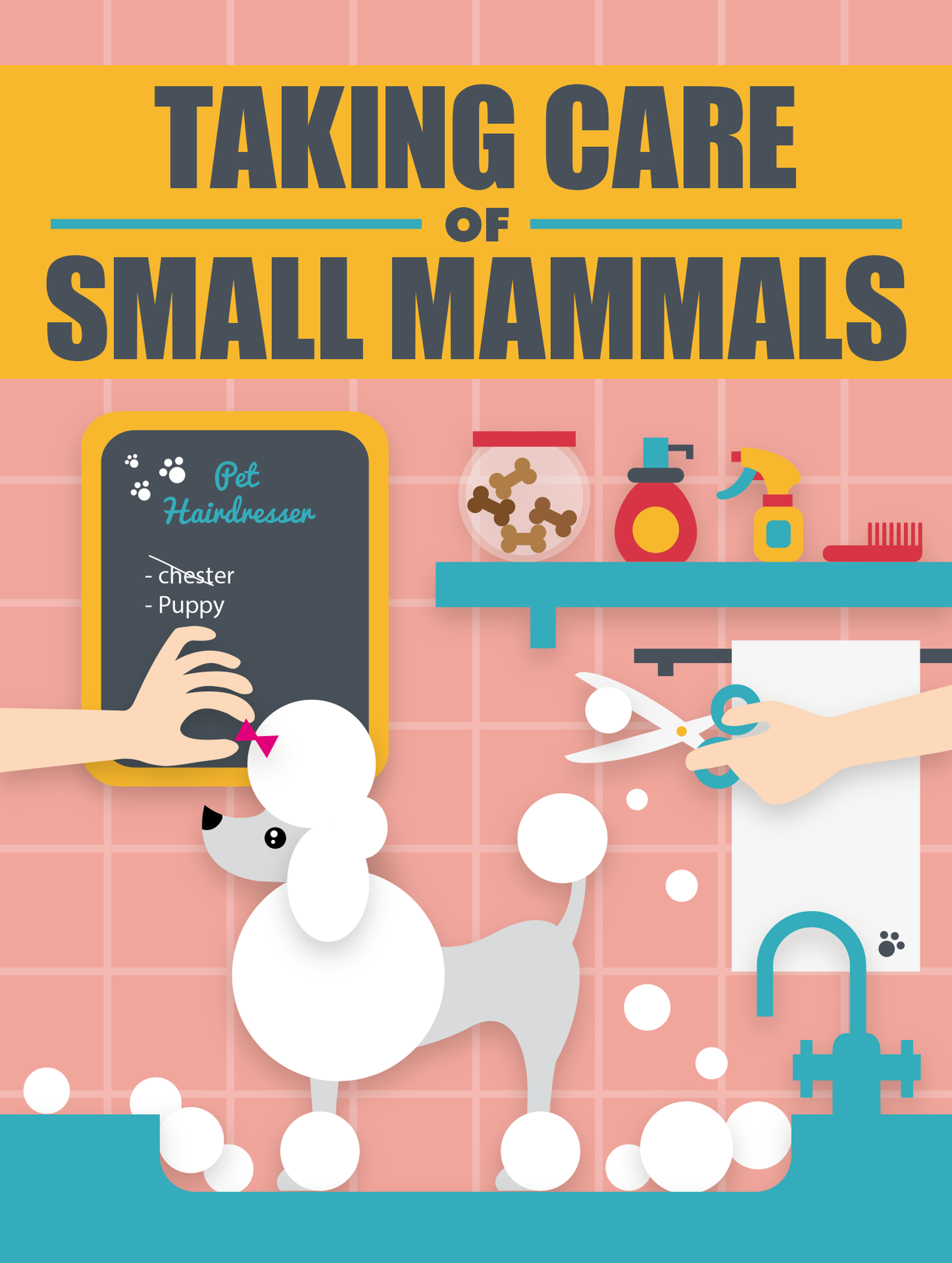 Taking Care OF Small Mammals