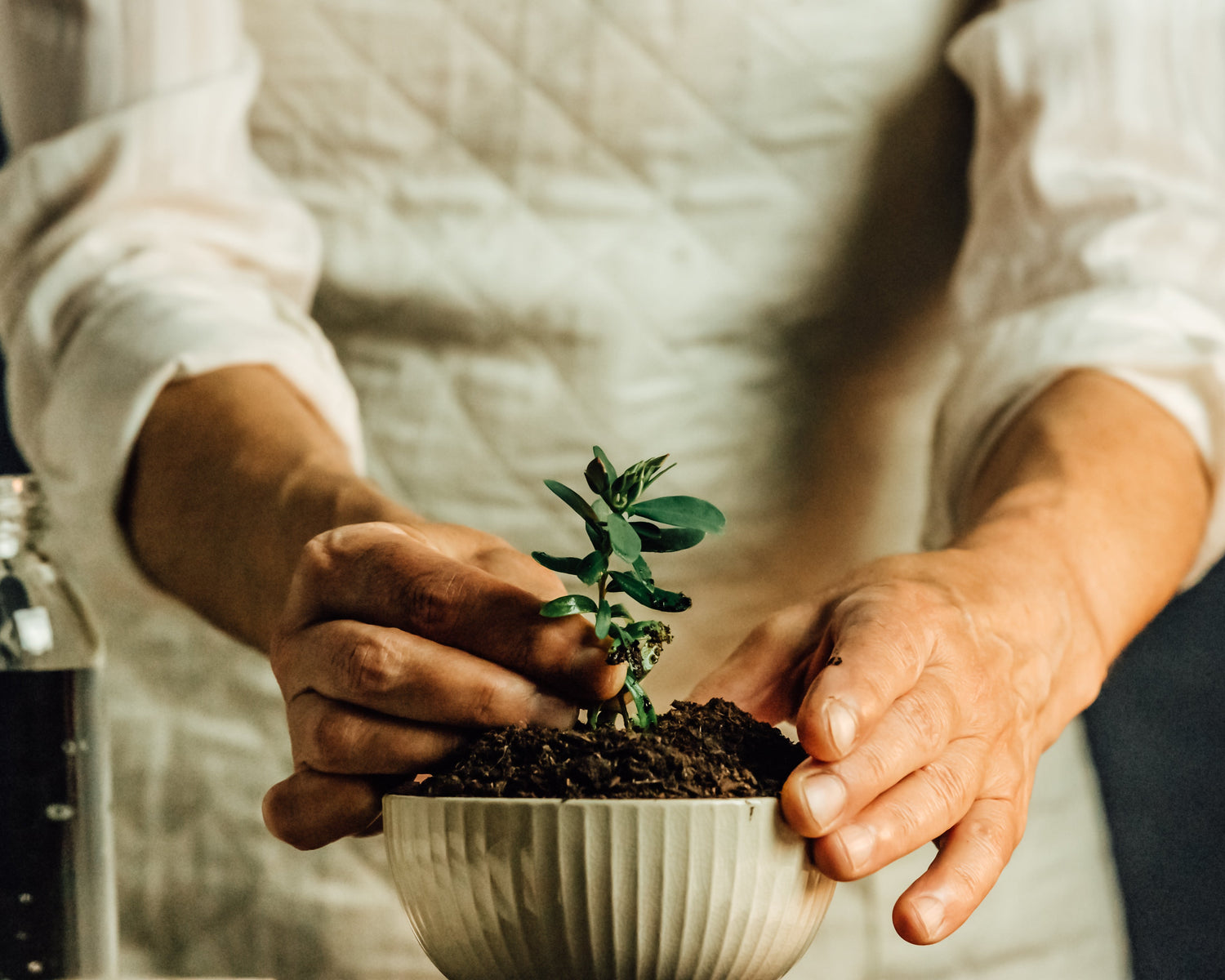 Tree planting and plastic collecting